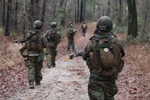 A platoon of Marines with 8th Engineer Support Battalion, 2nd Marine Logistics Group conducts a route reconnaissance during their dismounted patrol training aboard Camp Lejeune, N.C., Dec. 13, 2012. The platoon stopped to survey terrain features during the patrol, which was designed to prepare the engineers for future operations with infantry units. 