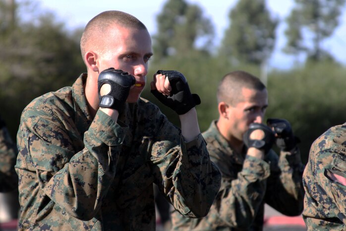 Company D recruits execute a warrior stance during the final Marine Corps Martial Arts Program test Dec. 12.  Recruits are tested on the tan belt syllabus which is the first level of MCMAP.  There are five belts Marines can earn through the program as they become more proficient.