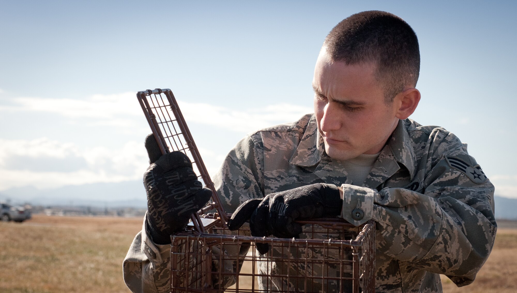 YOKOTA AIR BASE, Japan -- Senior Airman Alex Brown, 374th Civil Engineer Squadron Pest Management technician, inspects an animal trap Dec. 19, 2012, at Yokota Air Base, Japan. Devices like these are set around Yokota’s flight line to trap animals that stray too close to the airfield. (U.S. Air Force photo by Airman 1st Class John D. Partlow)