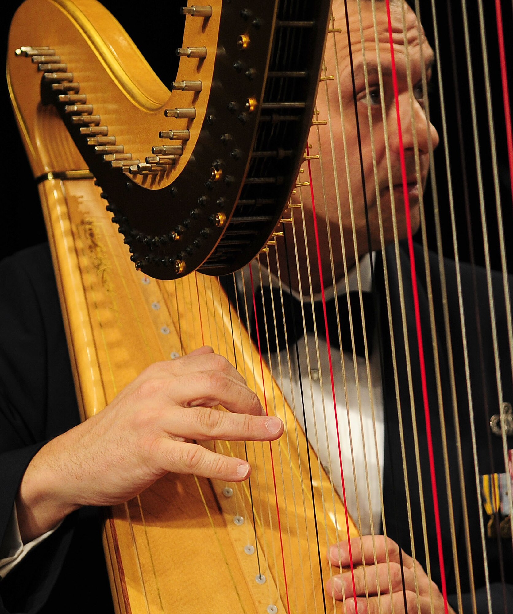 U.S. Air Force Band Harpist Senior Master Sgt. Eric Sabatino watches the conductor's baton during a performance at the 66th Annual Midwest Clinic, Dec. 19, in Chicago, Ill. Each unique performance, built around this year's clinic theme "Honoring our Mentors," invited two guest conductors to the stage. Col. Arnald Gabriel (Ret.), the first conductor of the USAF Premier Band from 1964 to 1985, and Dr. Tim Lautzenheiser, personal mentor to current USAF Premier Band Commander and Conductor Col. Larry Lang, both shared the baton with Lang during several of the musical pieces. (U.S. Air Force photo by Senior Airman Steele C. G. Britton)