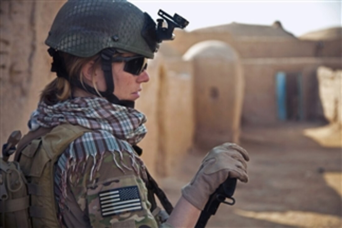 A coalition force member maintains security during a presence patrol in the Farah province of Afghanistan on Dec. 15, 2012.  Coalition members participating in the patrol are training and mentoring Afghan National Security Forces members in the area.  