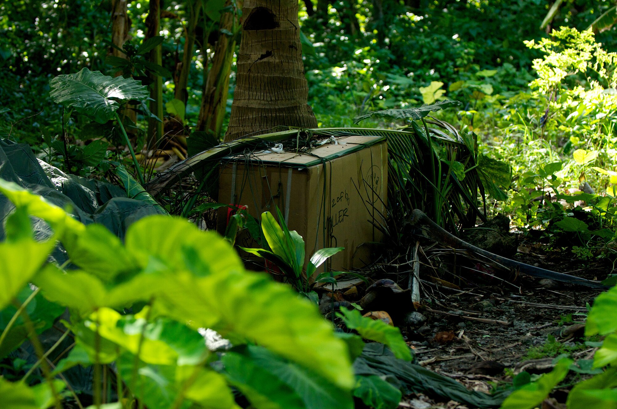 A bundle of humanitarian supplies from Andersen Air Force Base, Guam, sits on an island near Falalop, Micronesia, from an Operation Christmas Drop mission Dec. 12, 2011. Each year, donations are collected all around the Pacific Region and airdropped to islands in Micronesia. (Courtesy photo by Master Sgt. Cameron Leslie)