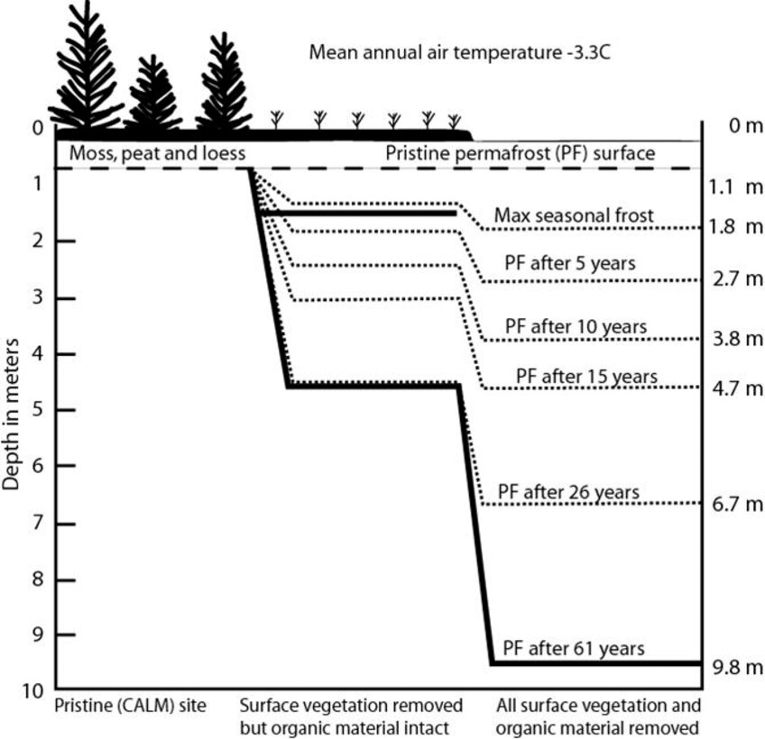 A graphic illustration of the Linell Plots at FPES and the effects of vegetation removal on permafrost.