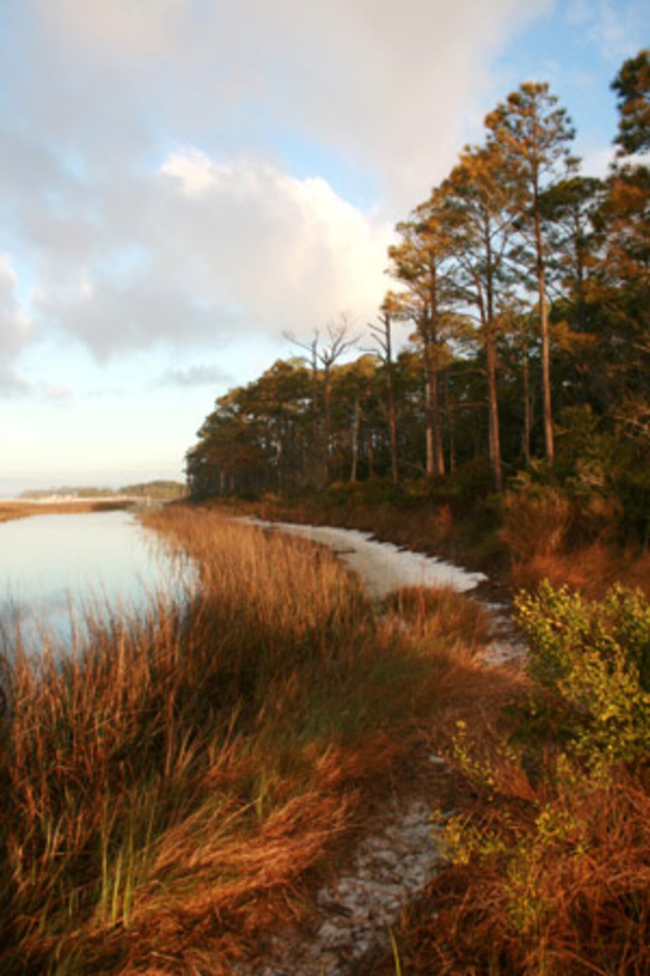 Future development changes to military housing will not affect the protected wetland areas or salt marshes along the Hurlburt Field Soundside. Salt marshes are coastal wetlands that are flooded and drained by salt water brought in by the tides.(Courtesy photo)