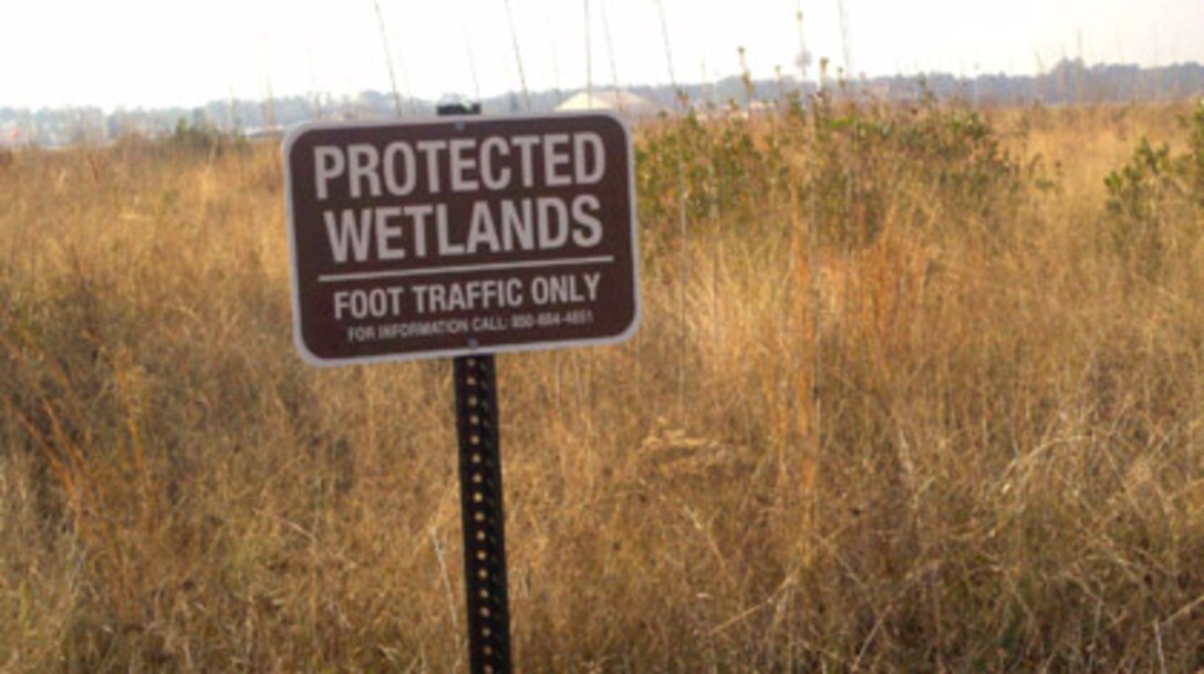 Future development changes to military housing will not affect the protected wetland areas or salt marshes along the Hurlburt Field Soundside. Salt marshes are coastal wetlands that are flooded and drained by salt water brought in by the tides.(Courtesy photo)