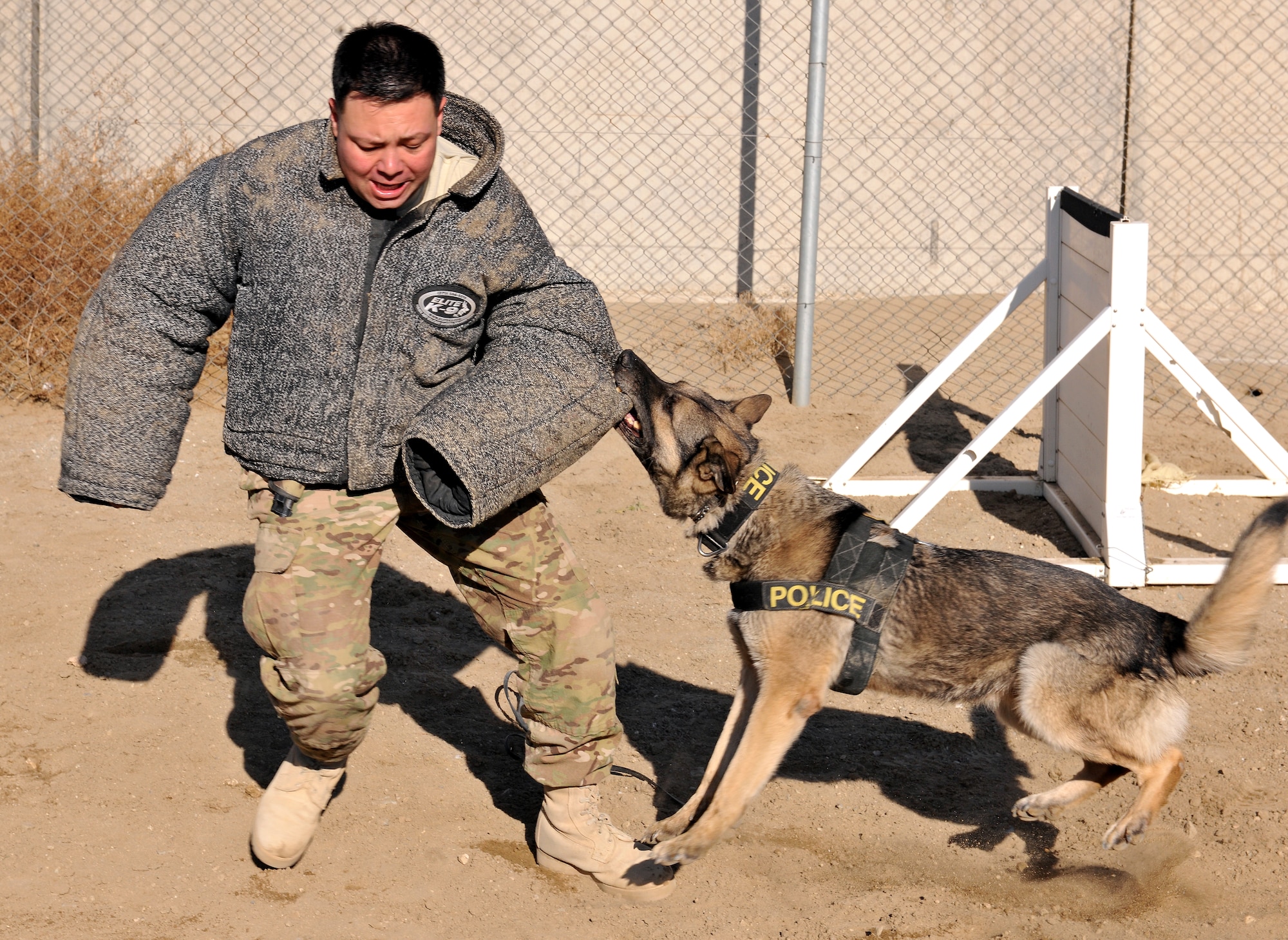 BAGRAM AIRFIELD, Afghanistan -- Staff Sgt. Ulises Gonzalez, 455th Expeditionary Security Forces Group dog trainer, practices some "patrol training" with Mayo, a military working dog, here, Dec. 21, 2012. The training demonstrates the MWD's ability to attack, on command, any perpetrator that is being uncooperative or attempting to cause harm towards property or personnel.  (U.S. Air Force photo/Senior Airman Chris Willis)