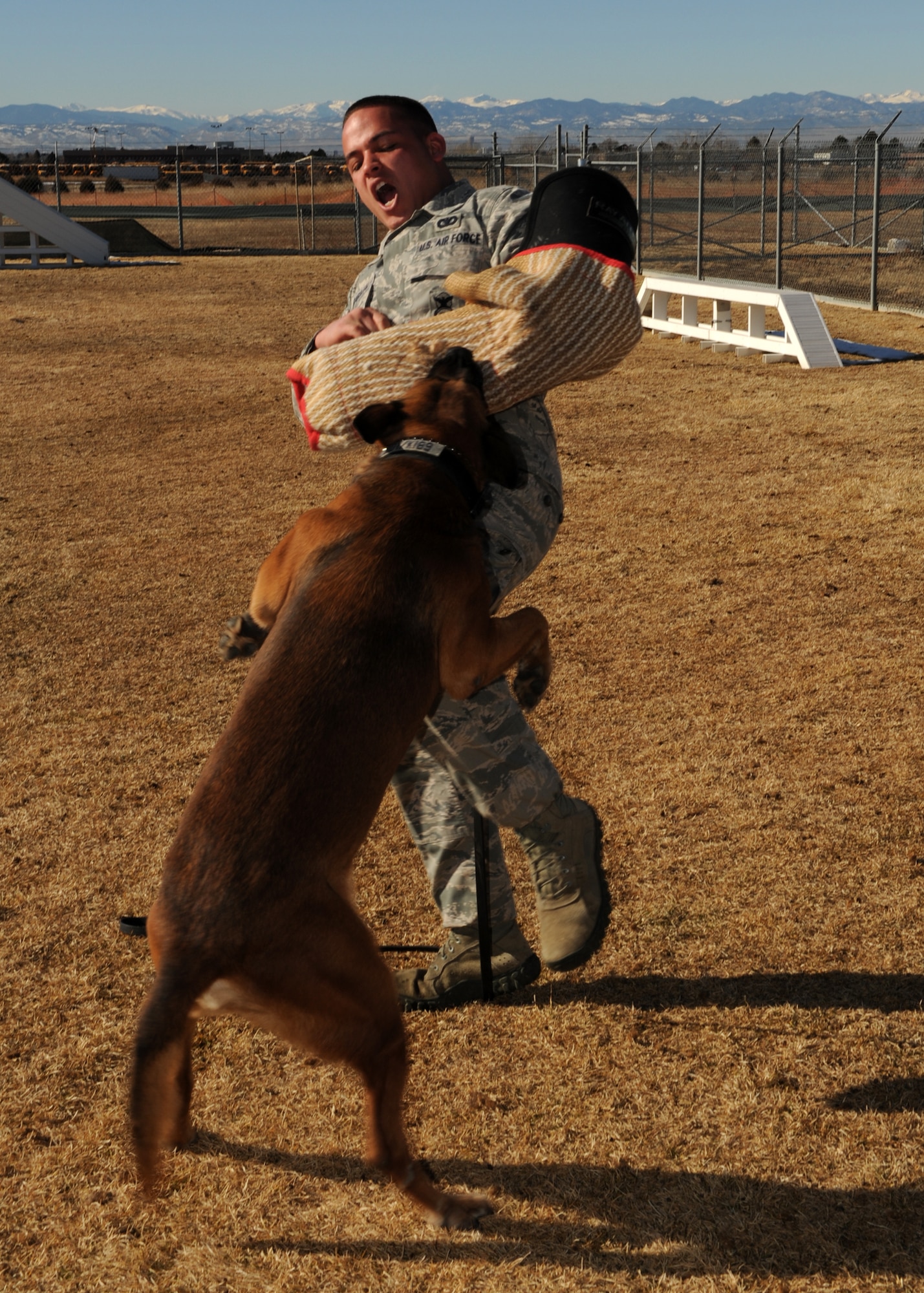 BUCKLEY AIR FORCE BASE, Colo. --Senior Airman Joshua Carabajal, 460th Security Forces military working dog handler, braces himself as Buddy attacks Jan 10, 2012. The K-9 unit at Buckley assists in check points, drug and bomb detection, exercise and emergency situations. (U.S. Air Force photo by Senior Airman Marcy Glass)
