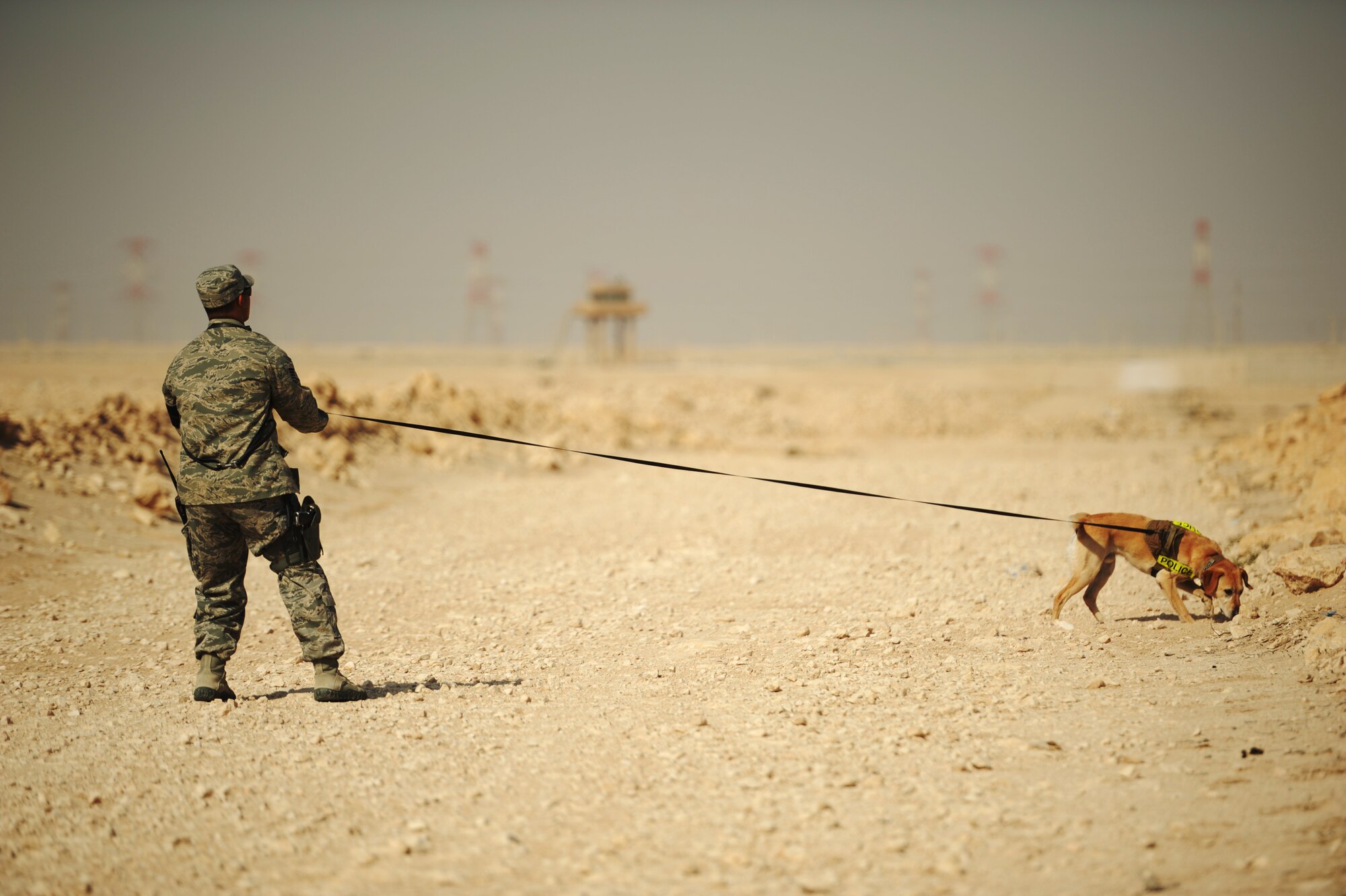 Photo courtesy 460th Security Forces K-9 unit