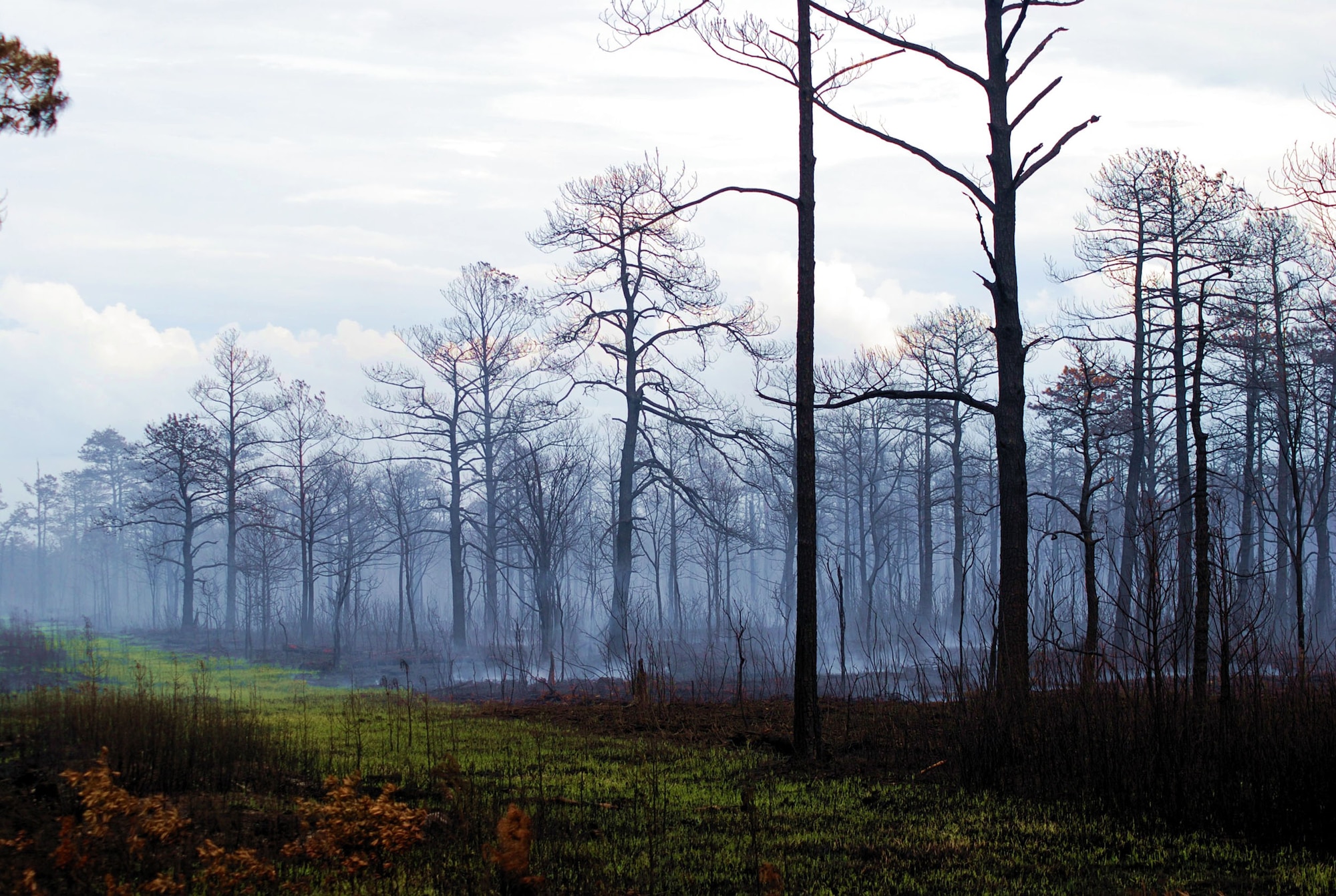 ALLIGATOR RIVER NATIONAL WILDLIFE REFUGE, N.C. -- The 2011 Pains Bay fire here, started by a lightning strike, burned more than 45,000 acres before it was extinguished by fire fighters.  Courtesy photo