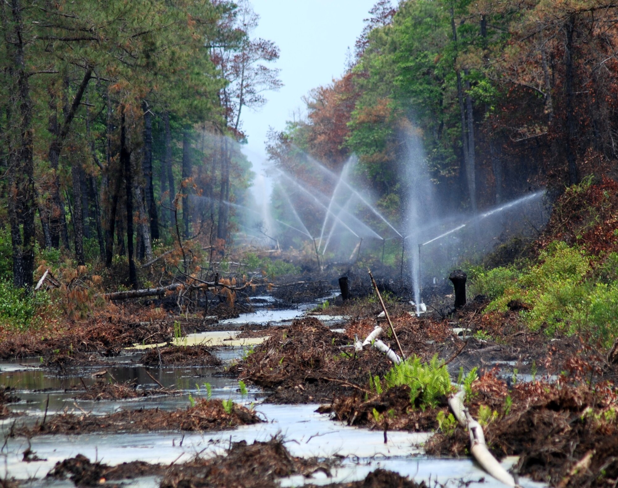 ALLIGATOR RIVER NATIONAL WILDLIFE REFUGE, North Carolina -- The 2011 Pains Bay fire May 5 as a result of a lightning strike burned more than 45,000 acres of pocosin shrublands and pond pine woodlands.  Courtesy photo