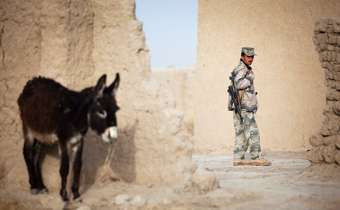 Afghan Border Police Pvt. Noor Agha, an explosive ordnance disposal technician with 2nd Tolai, 2nd Kandak, Helmand ABP, posts security in a compound as fellow ABP patrolmen search for illegal drugs during a partnered security patrol with U.S. Marines from Combined Anti-Armor Team 2, Weapons Company, 3rd Battalion, 3rd Marine Regiment, here, Jan. 30. In southern Garmsir district, an area with a history of tribal conflict, the growing ABP force has deepened its roots and established governance through the mentorship of the 3/3 Weapons Co. Marines. The ABP is younger and significantly smaller than the Afghan National Army and police forces, but its mission is vital as Afghan forces prepare to assume lead security responsibility in Garmsir. “If the ABP didn’t exist, there would be holes all along Afghanistan’s southern border,” said Capt. Jason Armas, 33, the commanding officer of Weapons Co., 3/3, and a native of Rye, N.Y.