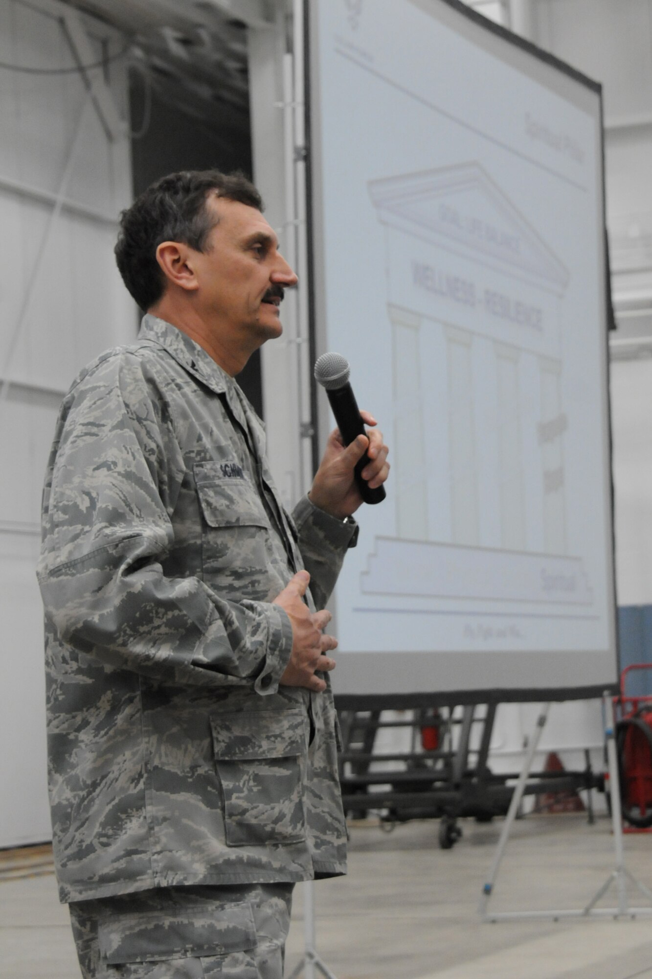 Col. Reinhard Schmidt, 910th Airlift Wing commander, delivers a Wingman Day 2012 briefing for an audience  of 910th Airmen. The Wingman program stresses resiliency among Airmen by promoting four tenets of wellbeing: mental, physical, spiritual and relational. The briefing was part of a wing-wide commander's call, here, Feb. 4, 2012