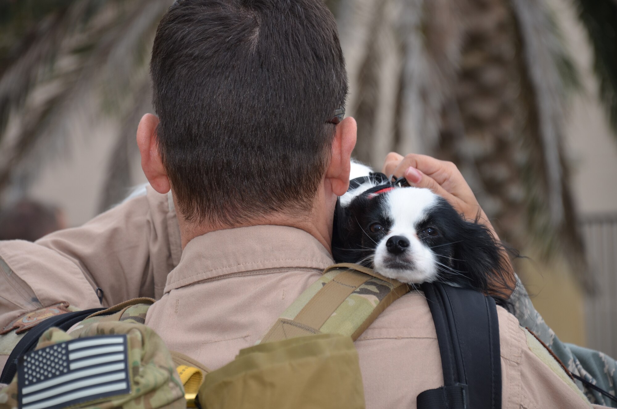 After being deployed for five months, Tech. Sgt. Chris Mora, aerial gunner, 920th Rescue Wing, Patrick Air Force Base, Fla., is greeted by his chihuahua, Mischa, Feb. 7, at the base passenger terminal. Mora was part of a pararescue team to save lives in Afghanistan. (U.S. Air Force photo/Capt. Cathleen Snow)