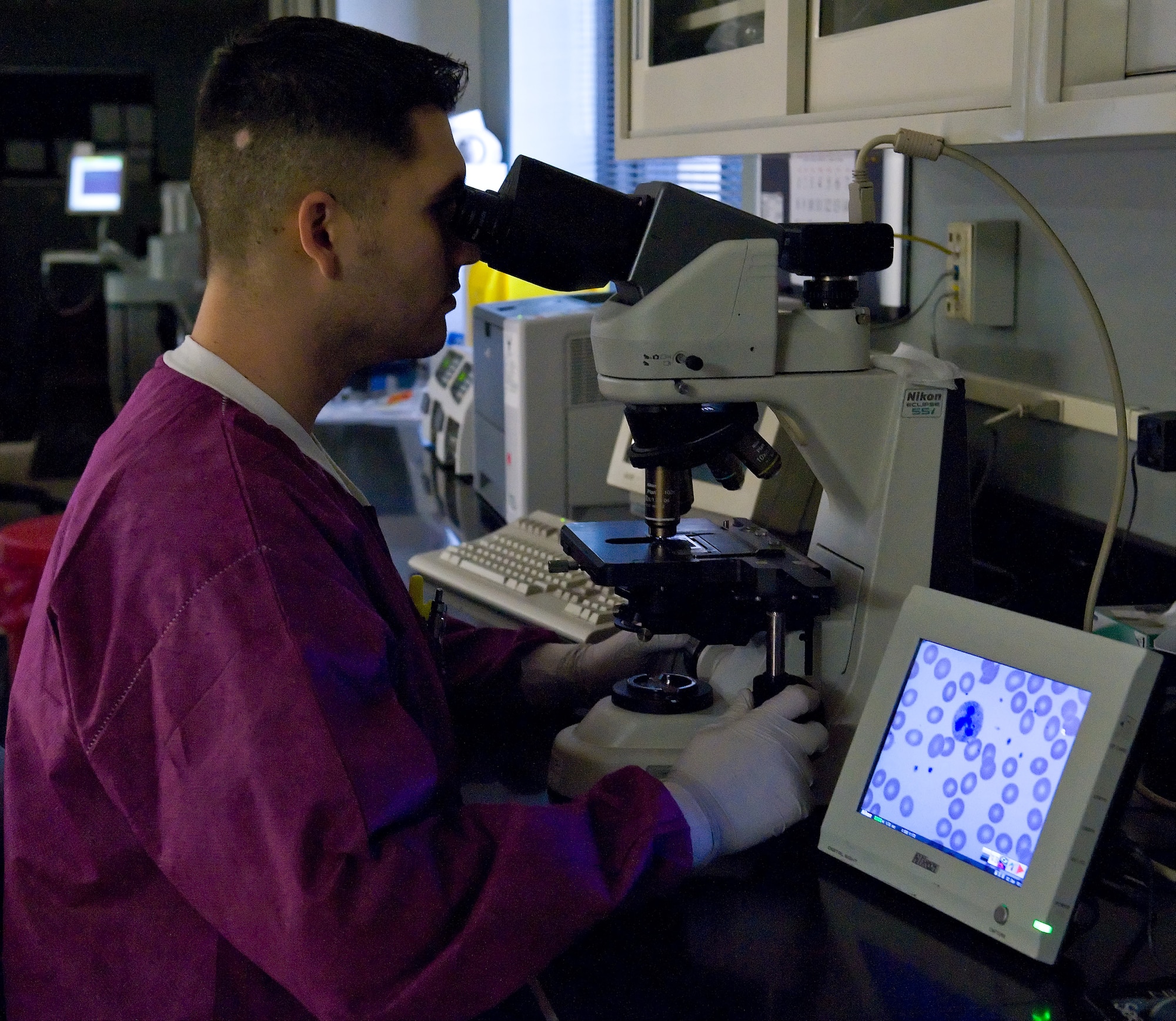 Senior Airman Josh Henson, a laboratory apprentice with the 436th Medical Support Squadron, observes cells through a microscope Feb. 2, 2012, at the Dover Air Force Base, Del. The images were projected onto a LCD screen to make viewing the sample easier.  (U.S. Air Force photo by Roland Balik)