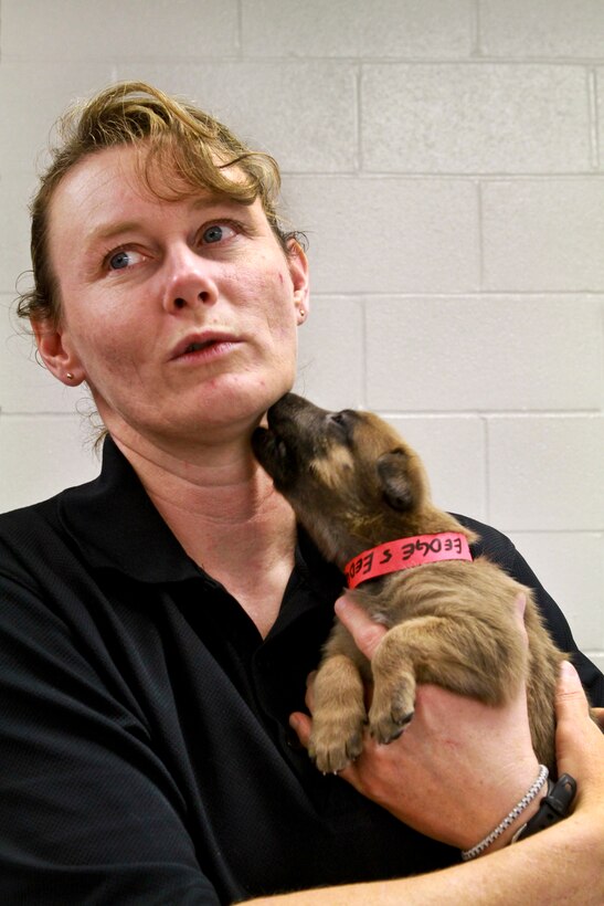 Bernadine Green, deputy director for the Defense Department's Military Working Dog Breeding Program on Lackland Air Force Base in San Antonio, holds a puppy. Green is among a team of dog experts who evaluate puppies nearly from birth for attributes of an effective military working dog. DOD photo by Linda Hosek