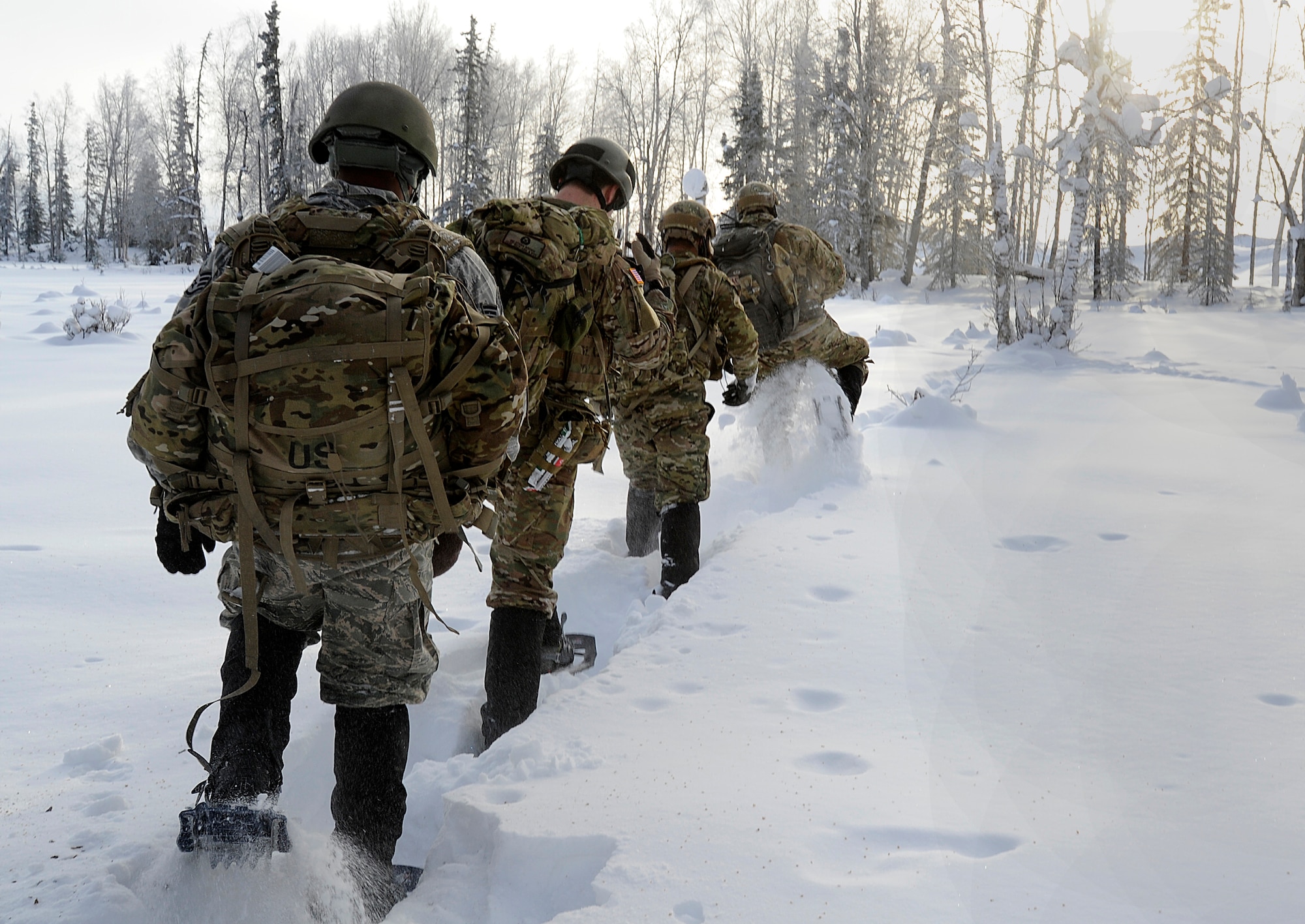Members from 3rd Air Support Operations Squadron snowshoe to their training site on Joint Base Elmendorf-Richardson Jan. 26, 2012.  The 3rd ASOS works hand-in-hand with the 4th Brigade Combat Team (Airborne), 25th Infantry Division. (U.S. Air Force photo/Staff Sgt. Zachary Wolf)