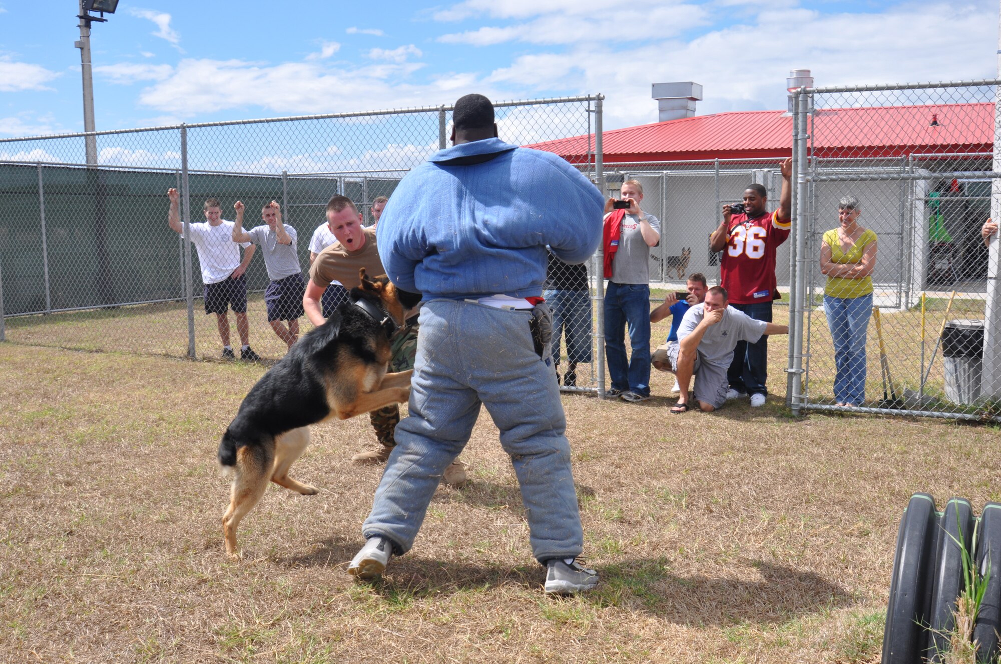 SOTO CANO AB, Honduras--James Lee, Tampa Bay Buccaneers offensive lineman, gets attacked by a Joint Security Forces military working dog during a demonstration Feb. 5 at Joint Task Force-Bravo, Soto Cano Air Base, Honduras.  Lee along with Darrel Young, Washington Redskins fullback, and Drayton Florence, Buffalo Bills cornerback, watched the Superbowl with Team Soto Cano and received a tour of the base.(U.S. Air Force photo/Capt. Candice Allen)