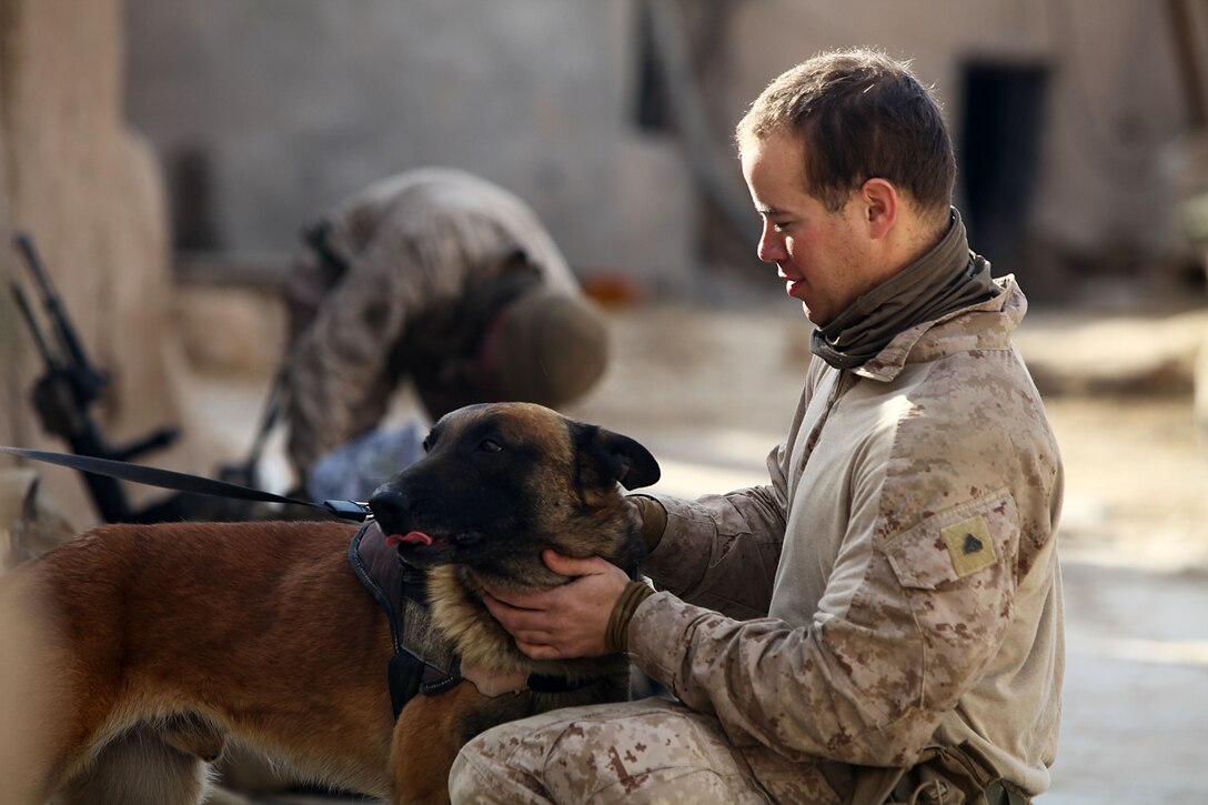 “I’m just a dog lover, TTroy is a great dog,” Cpl. Javier Gandia said, 22, fire team leader, from San Juan, Puerto Rico. “It’s cool to be deployed and still play with a dog.” TTroy is part of the Lackland Air Force Base puppy program and is identified by a double letter first name. This signifies that his parents were both military working dogs.