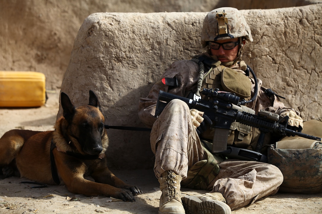 Cpl. Derrick Magee, 21, dog handler with 2nd Battalion, 4th Marines, from Vineland, N.J. and his dog, TTroy, rest during a patrol break. TTroy is part of the Lackland Air Force Base puppy program and is identified by a double letter first name. This signifies that his parents were both military working dogs. He is trained to find military grade and home made explosives.