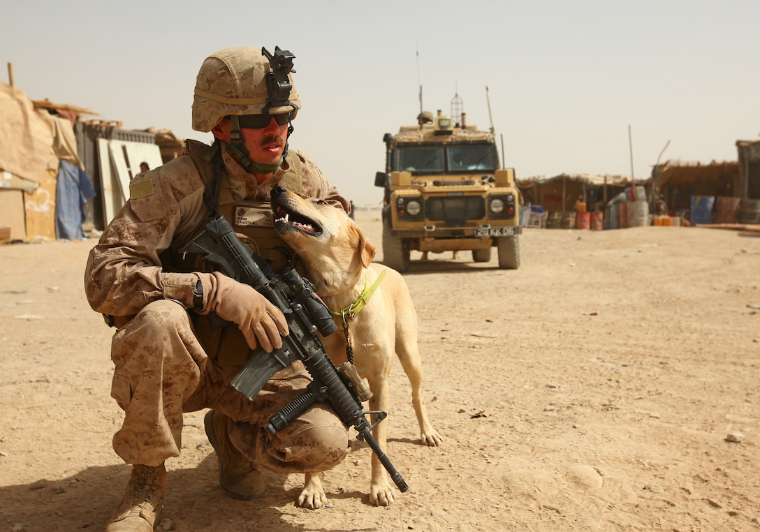 Cpl. Matthew Flaherty, a military working dog handler with Headquarters and Service Company, 1st Battalion, 25th Marine Regiment, and a native of Brockton, MA, posts security with “Chica”, an IED detection dog, during a shura held at a bazaar located outside of Camp Leatherneck, Helmand province, Sept. 29. The purpose of the meeting was to discuss moving all of the squatters located outside of the base to a more secure location farther north. 