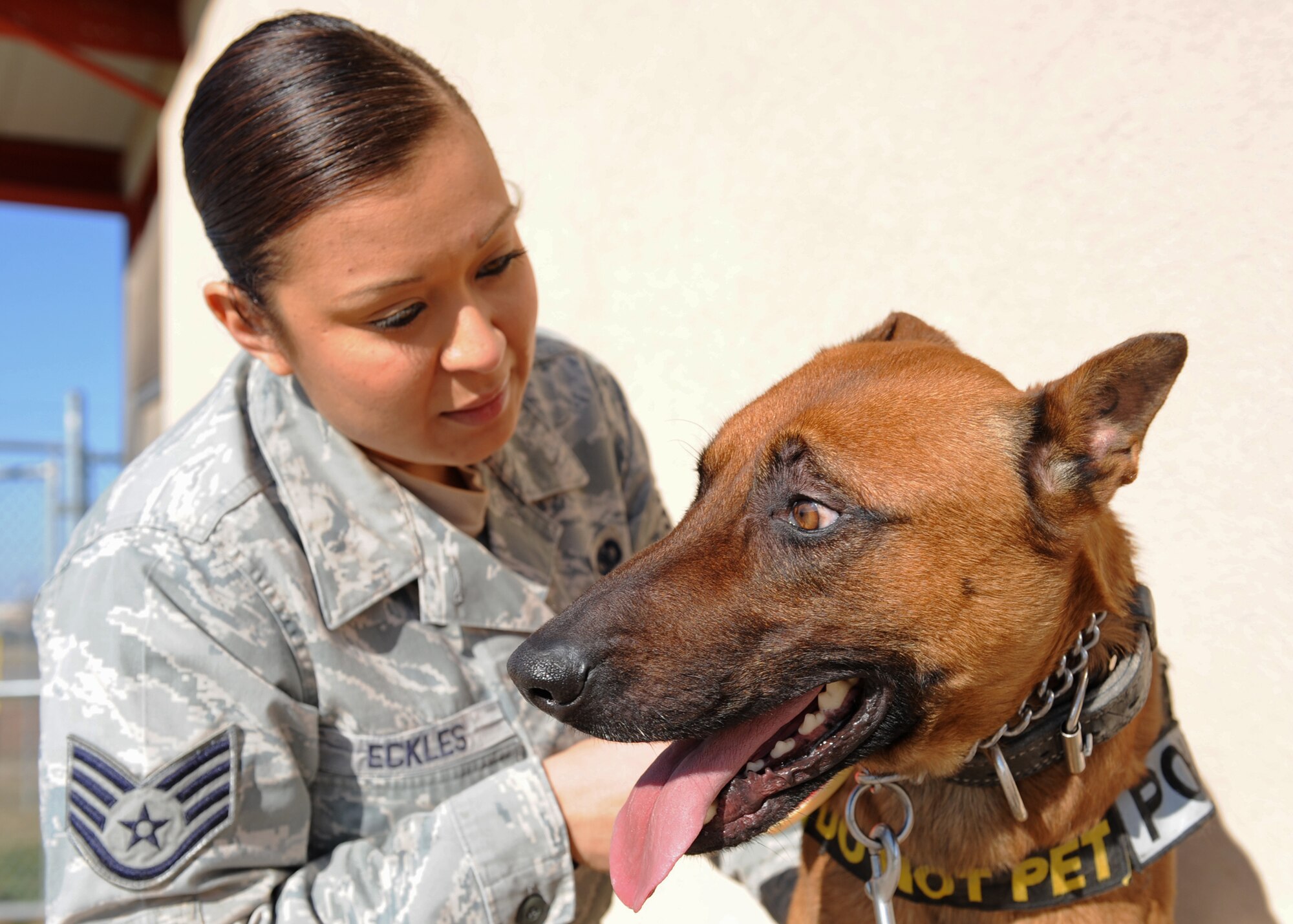 Air Force Staff Sgt. Patricia Eckles, 7th Security Forces Squadron, grooms her military working dog Dewey, Feb. 9, 2012, at Dyess Air Force Base, Texas. Dewey, and the other military working dogs in the K-9 unit, serve alongside their military handlers to protect Dyess and train for future deployments. (U.S. Air Force photo by Airman 1st Class Peter Thompson/Released)