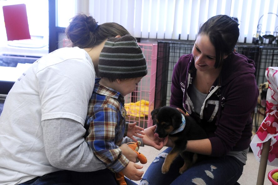 U.S. Air Force Airman 1st Class Mariah Tolbert shows U.S. Air Force Staff Sgt. Bridget Williams and her son Timothy, 2, a puppy during a Diamonds in the Ruff Dog wash and adoption event at Cuts-4-Muttz in Goldsboro, N.C., Feb. 11, 2012. Tolbert and Williams are both volunteers helping to find dogs a good home. Tolbert is a 4th Fighter Wing public affairs photojournalist from Rochester, N.Y. Williams is a 4th Medical Group medical technician from Little Falls, Minn. (U.S. Air Force photo/Senior Airman Whitney Stanfield/Released)