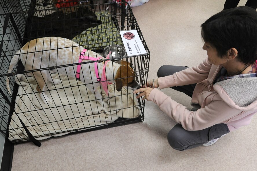 Michele Harney gives a snack to Olympia, a terrier mix, during a Diamonds in the Ruff Dog wash and adoption event at Cuts-4-Muttz in Goldsboro, N.C., Feb. 11, 2012. The treats help Olympia stay calm during the event. Harney is a dog trainer at Fancy That Companion and a native of Annapolis, Md. (U.S. Air Force photo/Senior Airman Whitney Stanfield/Released)