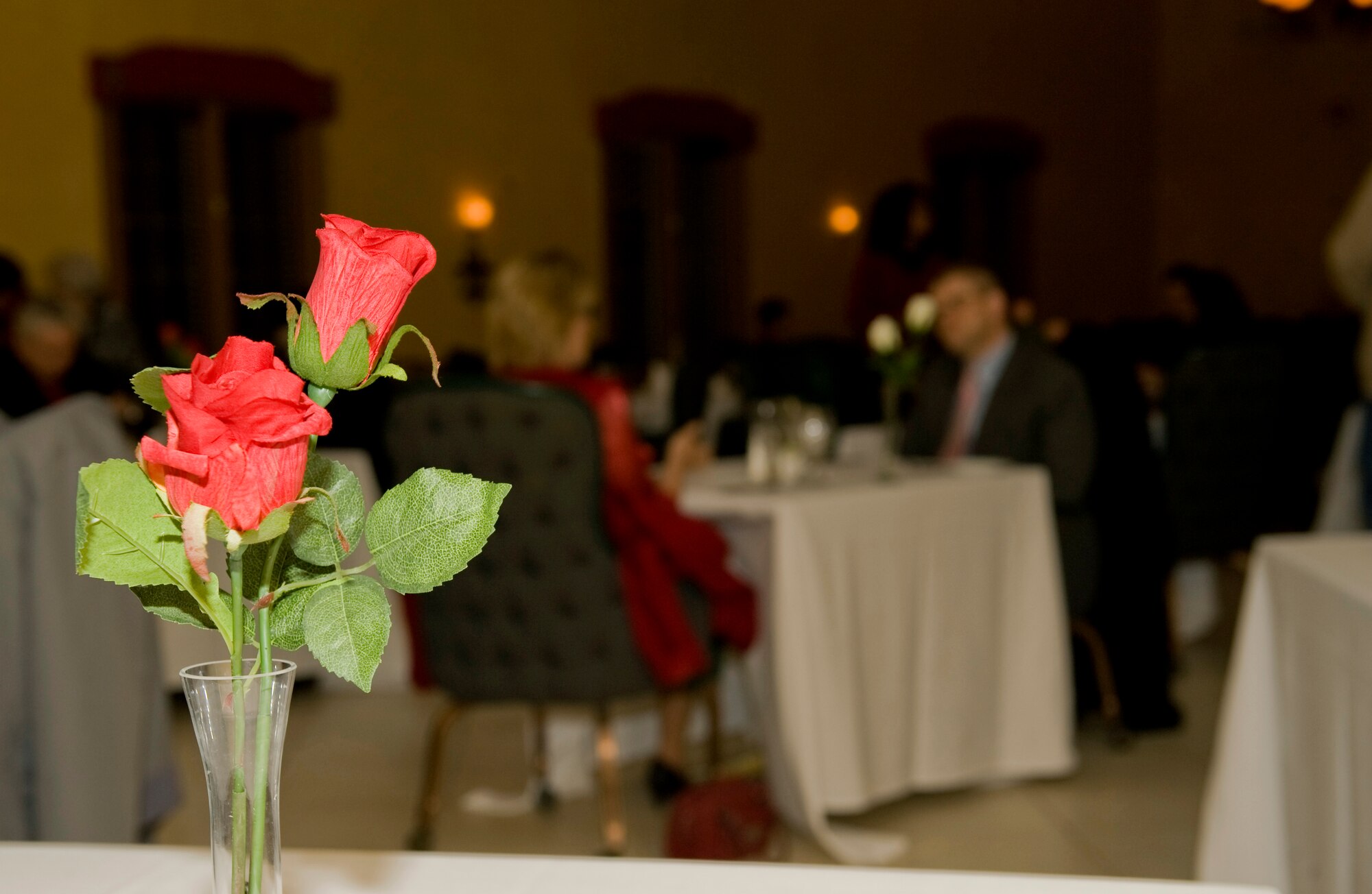 Members of Team Barksdale enjoy a Valentine's Day dinner complete with roses and candles on Barksdale Air Force Base, La., Feb. 14. Roses are used to symbolize love and are often given as a gift for Valentine's Day. The Barksdale Club hosted an annual Valentine's Day dinner for more than 60 Team Barksdale members. (U.S. Air Force photo/Airman 1st Class Benjamin Gonsier)(RELEASED)