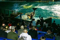 Service members from Joint Base San Antonio watch the Shamu performance at SeaWorld of San Antonio Feb. 10. The venue shut down their day-to-day operations and opened their doors just for the service members.
(Courtesy photo)