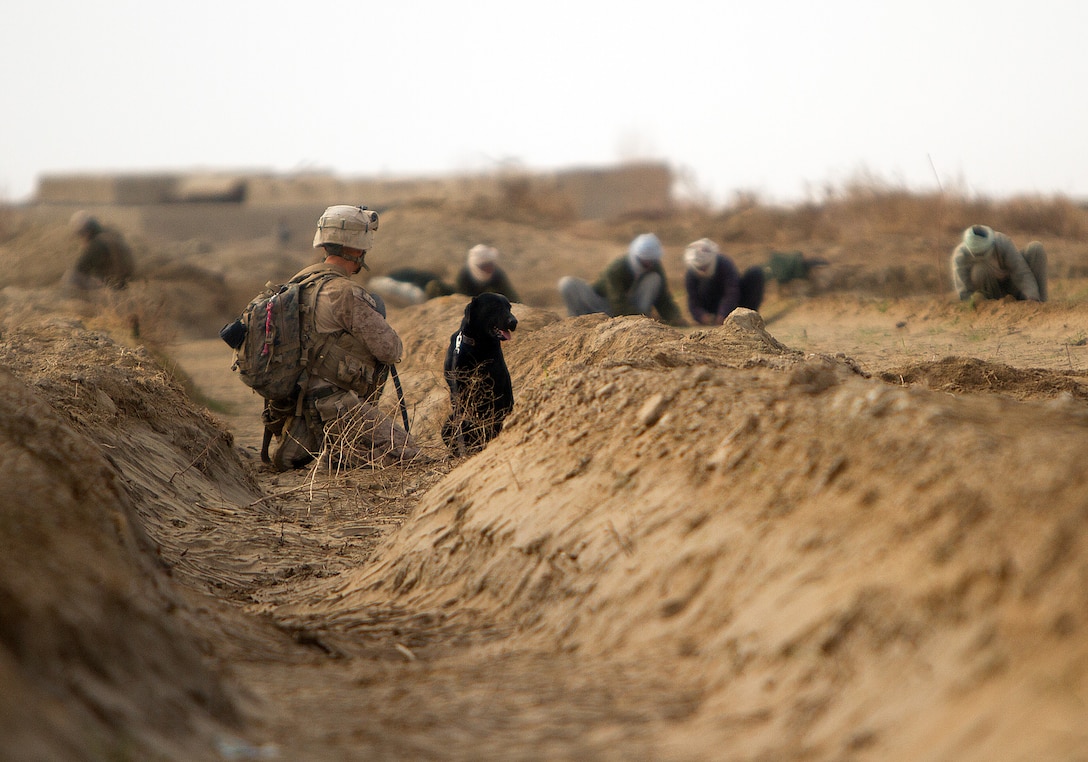 U.S. Marine Lance Cpl. Brandon Mann, a dog handler with Alpha Company, 1st Light Armored Reconnaissance Battalion, and native of Arlington, Texas, and Ty, an improvised explosive device detection dog, posts security during a patrol here, Feb. 16. Marines and sailors with 1st LAR and India Co., 3rd Battalion, 3rd Marine Regiment, conducted clearing and disrupting operations in and around the villages of Sre Kala and Paygel during Operation Highland Thunder. Marines with 1st LAR led the operation on foot, sweeping for enemy weapons and drug caches through 324 square kilometers of rough, previously unoccupied desert and marshland terrain. Mobile units with1st LAR set up blocking positions and vehicle check points while India Co., 3/3 conducted helicopter inserts to disrupt insurgent freedom of movement.