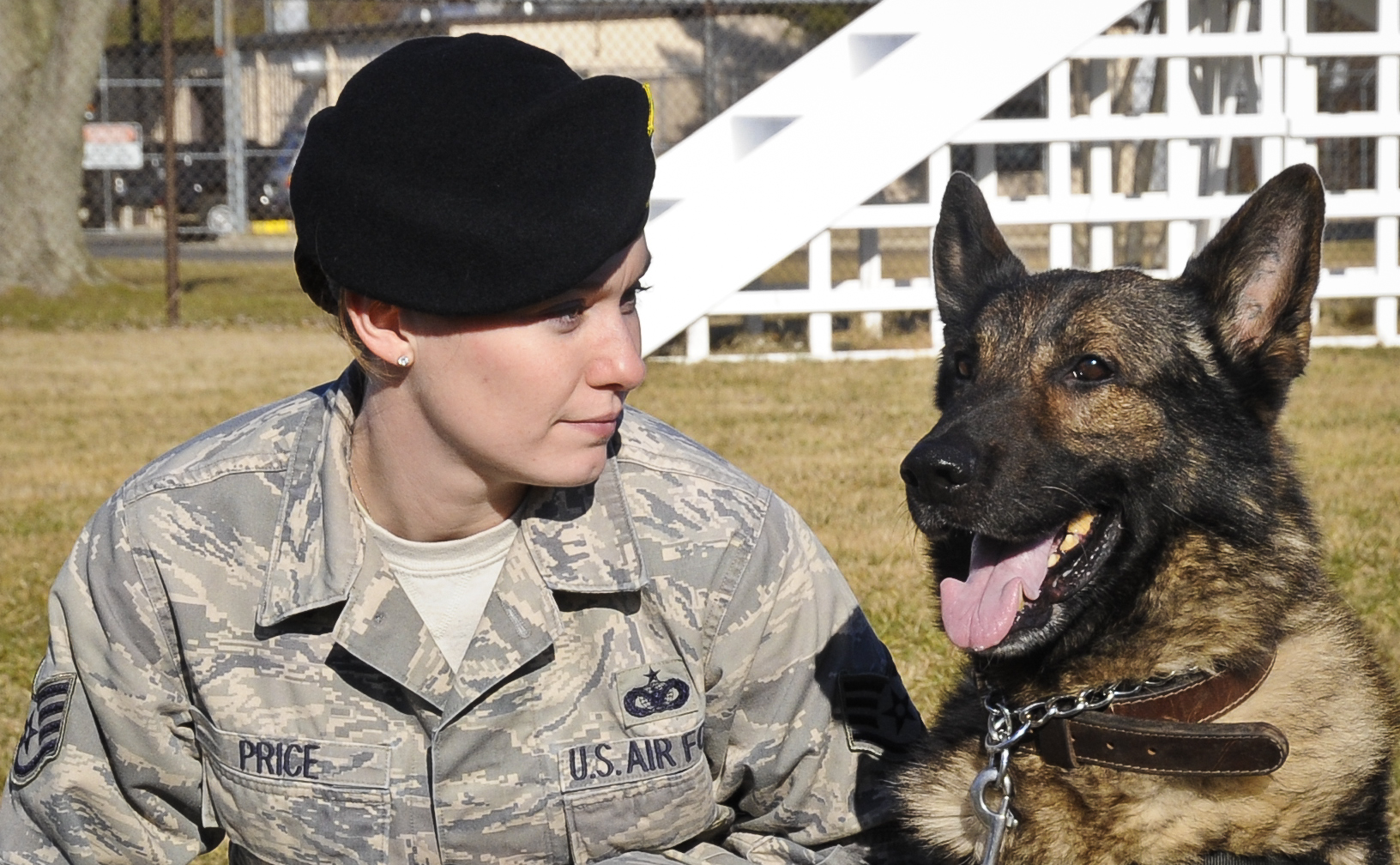 Military working dogs  More about the Air  Force  s canine 