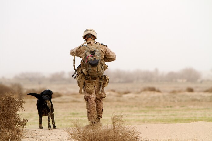 U.S. Marine Lance Cpl. Brandon Mann, a dog handler with Alpha Company, 1st Light Armored Reconnaissance Battalion, and native of Arlington, Texas, and Ty, an improvised explosive device detection dog, walk over a dune during a patrol here, Feb. 16. Marines and sailors with 1st LAR and India Co., 3rd Battalion, 3rd Marine Regiment, conducted clearing and disrupting operations in and around the villages of Sre Kala and Paygel during Operation Highland Thunder. Marines with 1st LAR led the operation on foot, sweeping for enemy weapons and drug caches through 324 square kilometers of rough, previously unoccupied desert and marshland terrain. Mobile units with1st LAR set up blocking positions and vehicle check points while India Co., 3/3 conducted helicopter inserts to disrupt insurgent freedom of movement.