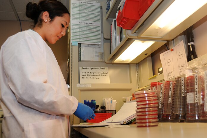 Airman Victoria Jacobo, phase two student, 99th Medical Support Squadron, analyzes urine slates Feb. 17th, 2012 inside the Mike O'Callaghan Federal Medical Center, Nellis Air Force Base, Nev. The 99th MDSS medical laboratory is responsible for a wide variety of tasks utilizing five working sections to analyze, confirm and test different medical samples. Their analysis aids in the diagnosis and treatment of patients. (U.S. Air Force photo by Senior Airman Jack Sanders)