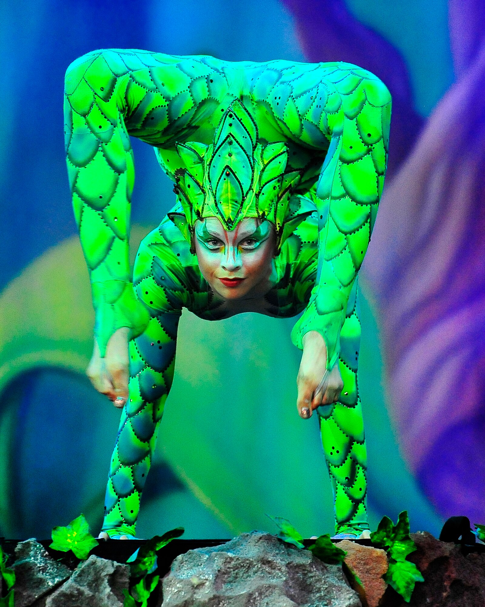 Members of Team Ramstein waited an hour in the cold for a warm seat to view Cirque Dreams "Jungle Fantasy” World Tour performance at Ramstein Air Base, Germany, Feb. 17, 2012.  The hour and a half show featured vibrant costumes, amazing acts of physical strength and skill, aerial acts, tumblers, jugglers, gymnasts, contortionists and jokesters. Cirque Dreams partnered with Armed Forces Entertainment to perform "Jungle Fantasy" at 17 military installations in 10 different countries through Asia and Europe.  (U.S. Air Force Photo by/ Staff Sgt. Daylena Gonzalez)