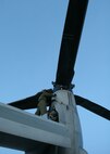 After the flight home, Sgt. Kyle W. Harrison, a Marine Medium Tiltrotor Squadron 365 MV-22B crew chief, performs a post-flight inspection on the Osprey. Marines of VMM-365 returned to their hangar from a training exercise in Belize, Sept. 19.