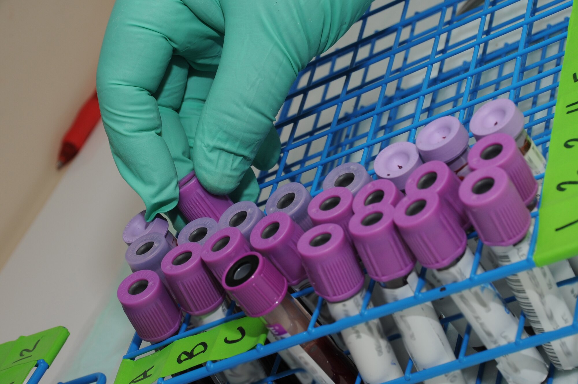 Jawana Blankenship, 81st Medical Operations Squadron flight secretary, sorts DNA samples sent from Department of Defense medical facilities for further testing for chromosome anomalies and DNA mutations at the 81st Medical Group’s genetics center at Keesler Air Force Base, Miss., Feb. 17, 2012.  (U.S. Air Force photo by Kemberly Groue)