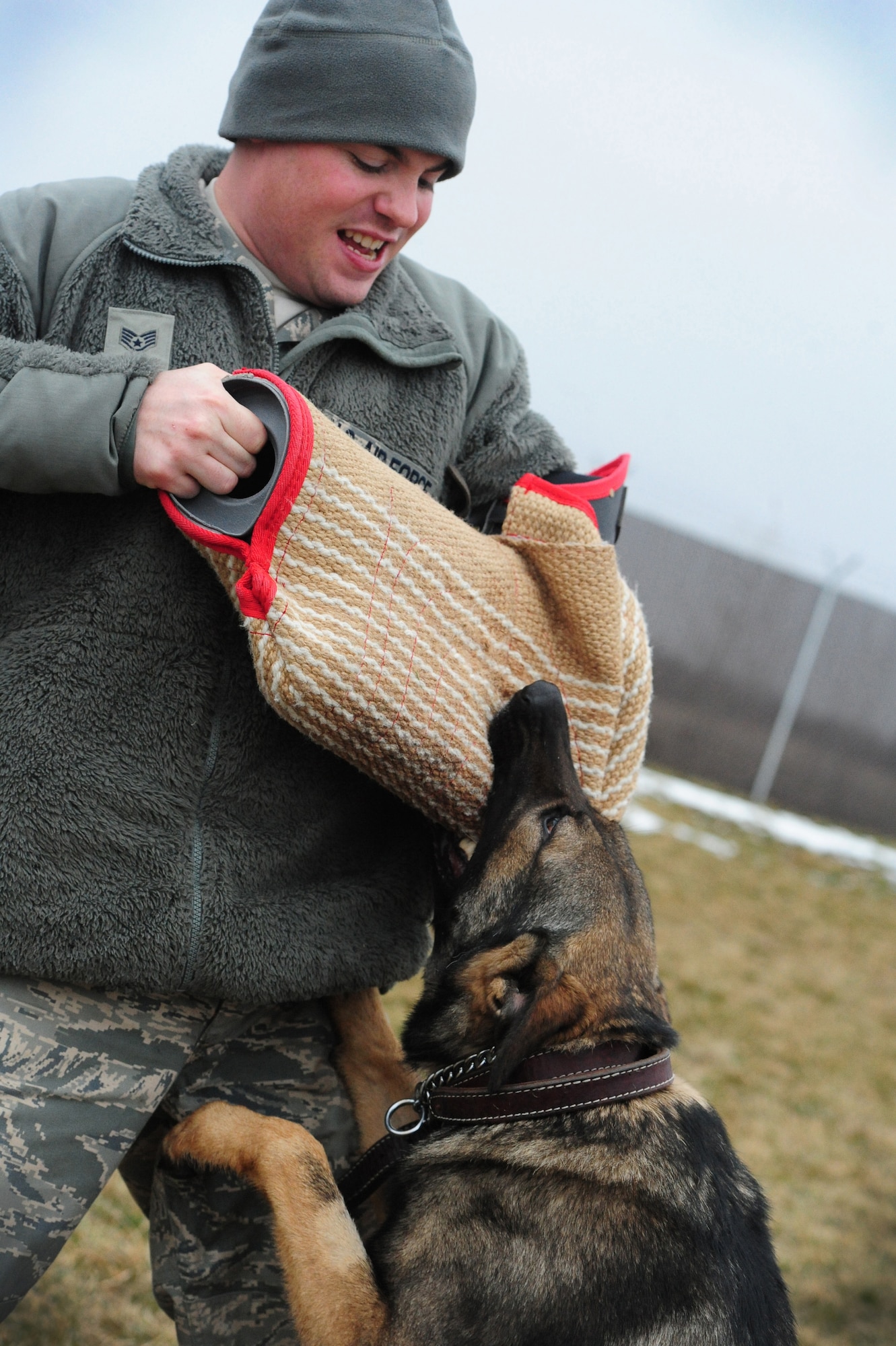 WHITEMAN AIR FORCE BASE, Mo. – Igore, 509th Security Forces Squadron military working dog, bites the sleeve of Staff Sgt. Adam Dye, 509th SFS MWD handler, during a bite sleeve scenario Feb. 15. Military working dogs are taught by their handlers to have controlled aggression through obedience courses and bite sleeve scenarios. (U.S. Air Force photo/Senior Airman Nick Wilson)