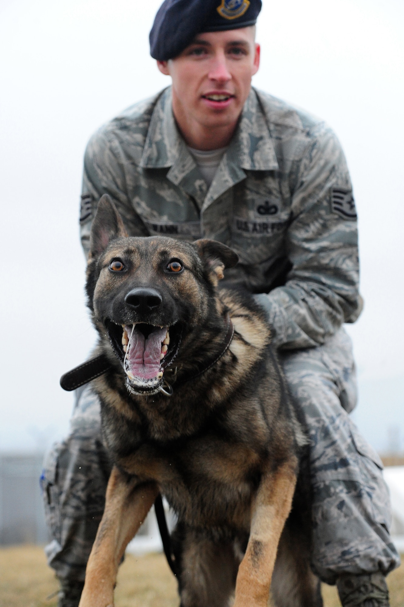 WHITEMAN AIR FORCE BASE, Mo. -- Staff Sgt. James Swann, 509th Security Forces Squadron military working dog handler, holds back his canine Igore during a controlled aggression exercise Jan. 15. The exercise teaches canines to follow commands and helps strengthen the bond between dogs and handlers. (U.S. Air Force photo/Senior Airman Nick Wilson)