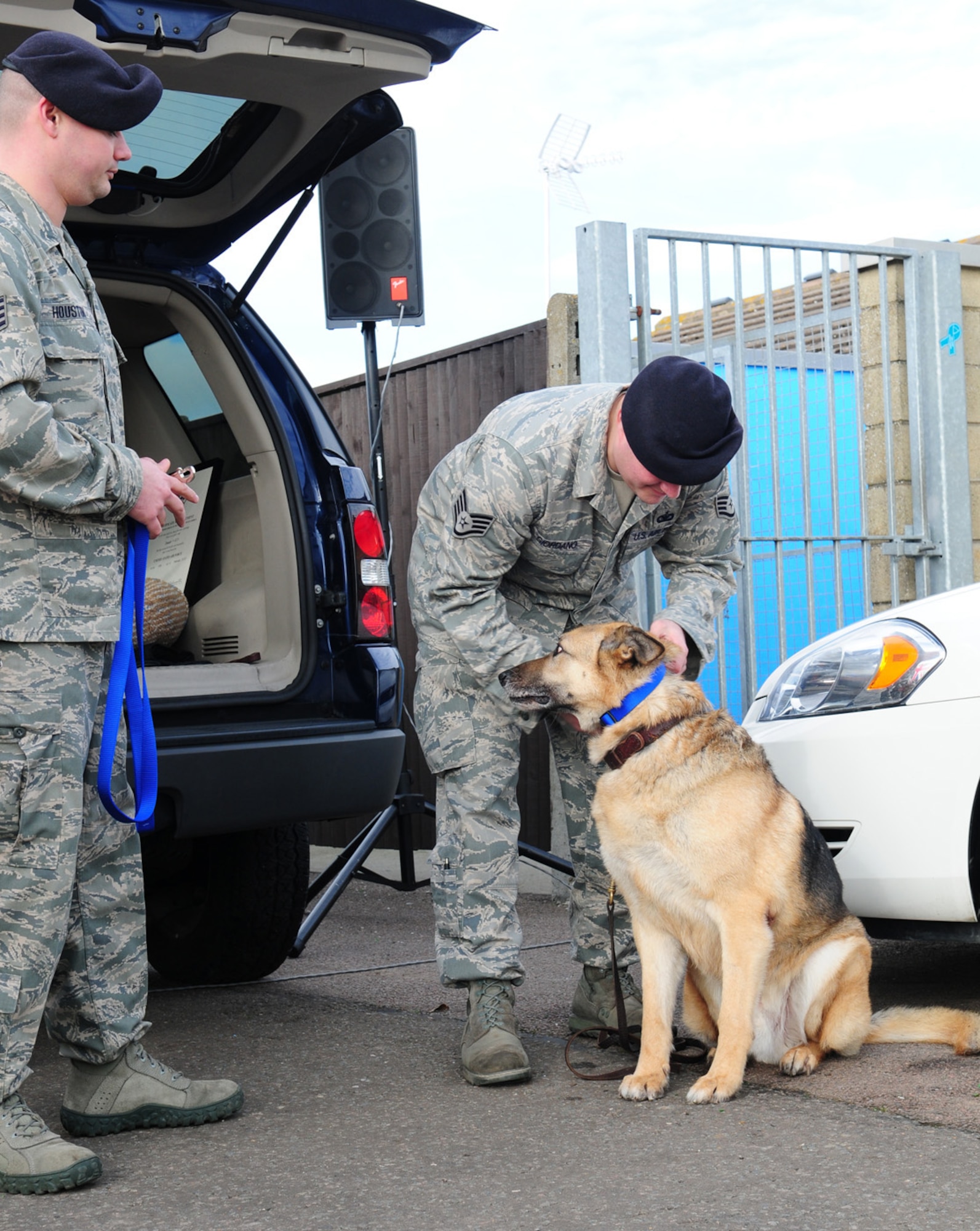 RAF MILDENHALL, England – Staff Sgt. Samuel Giordano, 100th Security Forces Squadron Military Working Dog handler, puts a “civilian” collar and leash onto Military Working Dog Desant, presented by Staff Sgt. John Houston, 100th SFS MWD section, at Desant’s retirement ceremony here Feb. 24, 2012. Giordano, Desant’s last handler, swapped the MWD’s official collar for a bright blue collar, to show he retired from the Air Force. (U.S. Air Force photo/Karen Abeyasekere)