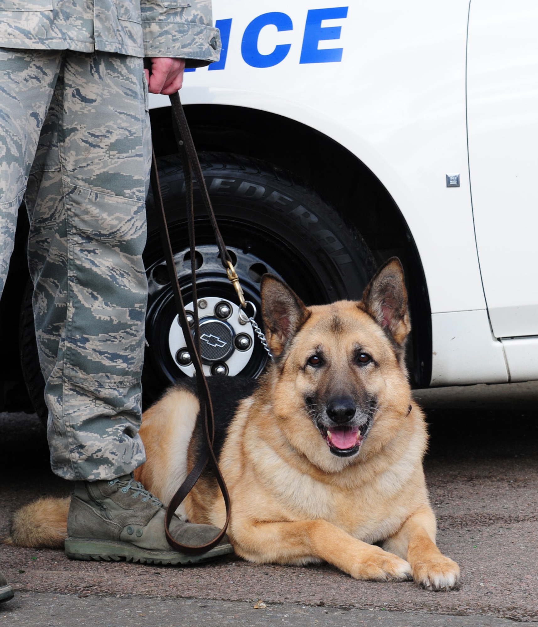 RAF MILDENHALL, England – Military Working Dog Desant, 100th Security Forces Squadron, relaxes during his retirement ceremony Feb. 24, 2012, at the MWD facility here. Desant performed eight years of service, spent at RAF Mildenhall, and amassed 9,000 working hours; 2,500 of which were explosive detection. Although he didn’t have the opportunity to deploy, Desant honorably served his country and the U.S. Air Force by conducting 10 Secret Service missions in support of former presidents, vice-presidents and a first lady, in Northern Ireland, Romania, and all over the United Kingdom. The MWD worked with seven handlers, and throughout his career has been described as very loyal and obedient, though at the same time, not afraid to bite. (U.S. Air Force photo/Karen Abeyasekere)