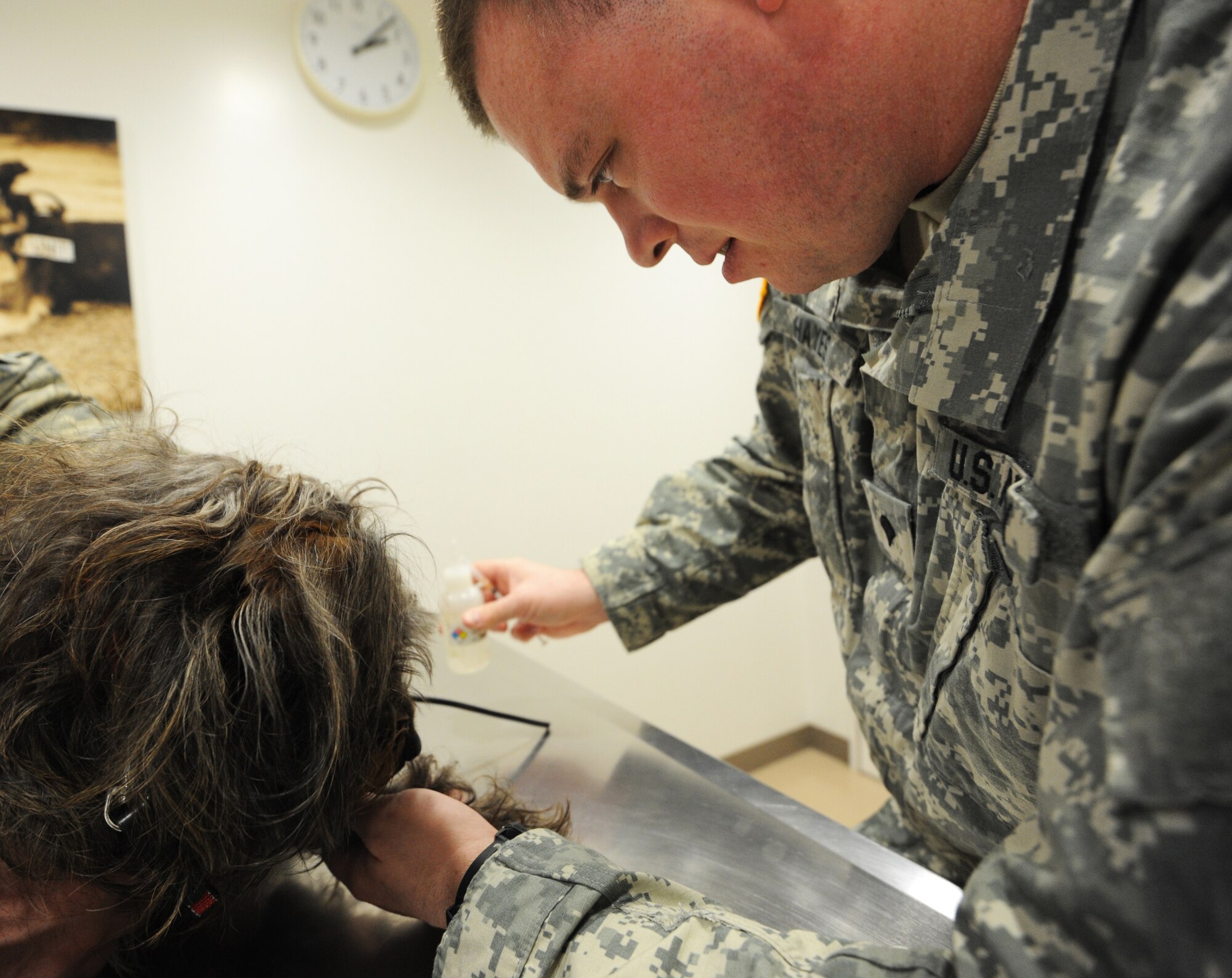 U.S. Army Spc. Jason Hayes, 35th Force Support Squadron veterinary technician, draws blood from Bonzai, pet dog of Air Force Staff Sgt. Brooks Miller, 35th Maintenance Squadron electronic warfare technician, for a heartworm test at Misawa Air Base, Japan, Feb. 22, 2012. Heartworm is a parasite transmitted through mosquitoes.  (U.S. Air Force photo by Airman 1st Class Kia Atkins/Released)