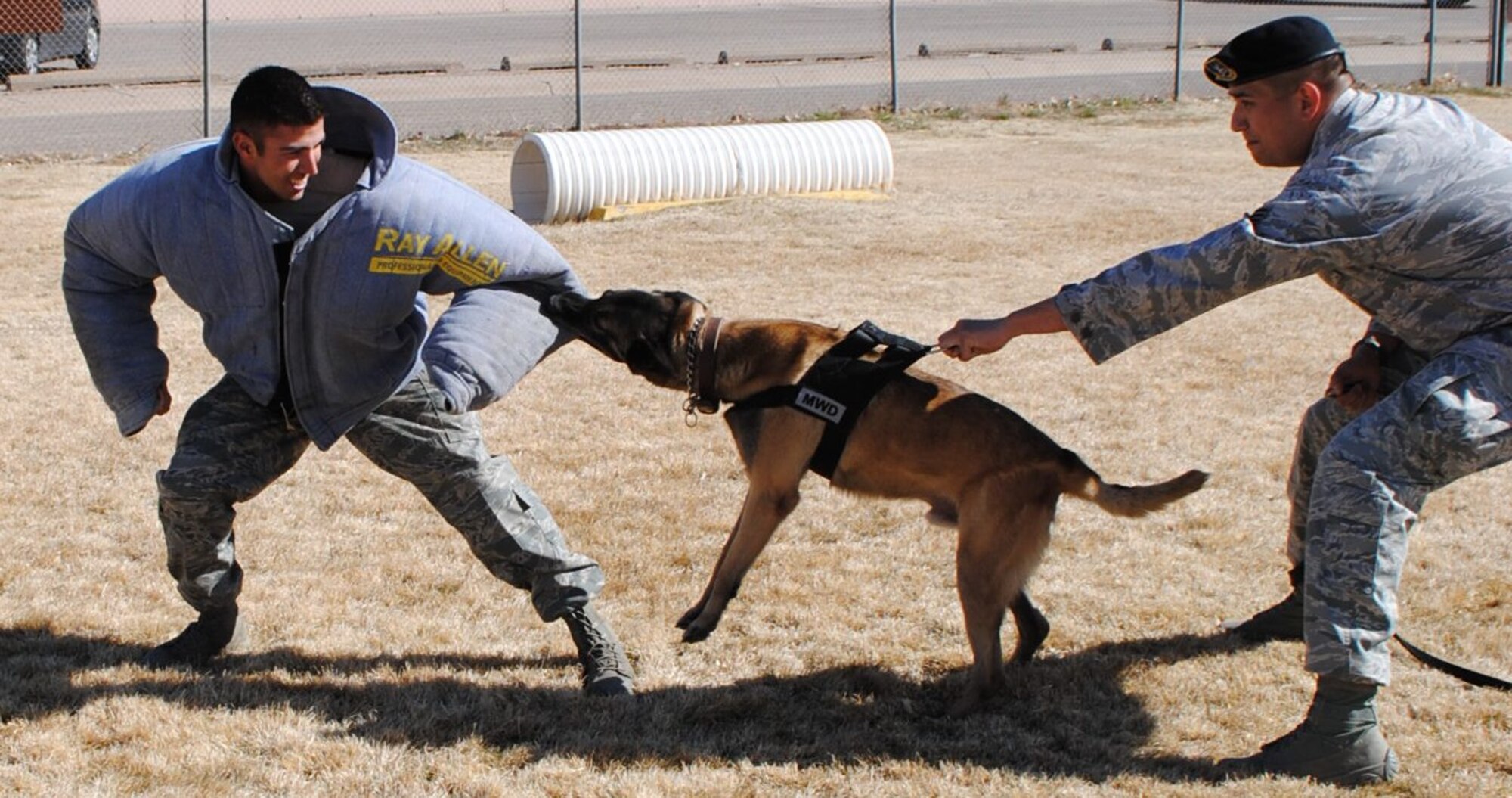 KIRTLAND AFB, N.M. – Staff Sgt. Marcus Moreno, 377th Security Force Squadron military working dog handler, right, uses Senior Airman Sergio Hernandez, 377 SFS, as a target while training MWD Rambo. (Photo by Stefan Bocchino) 