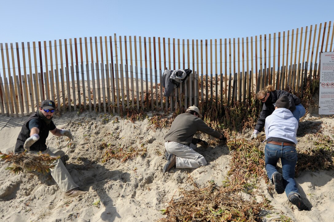 Making room for the Snowy Plover
