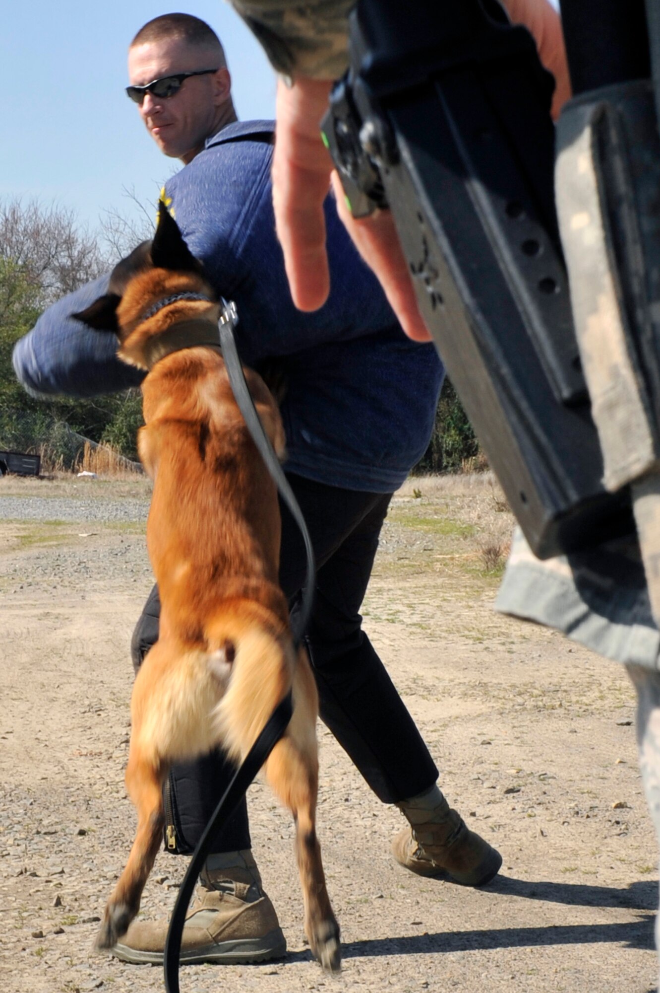 Tech. Sgt. Brandon Cummiford, a 19th Security Forces Squadron military working dog trainer, is attacked by an military working dog, Feb. 27, 2012, at Little Rock Air Force Base, Ark. Little Rock Air Force Base has nine military working dogs and nine handlers performing daily training. (U.S. Air Force photo by Airman 1st Class Rusty Frank)