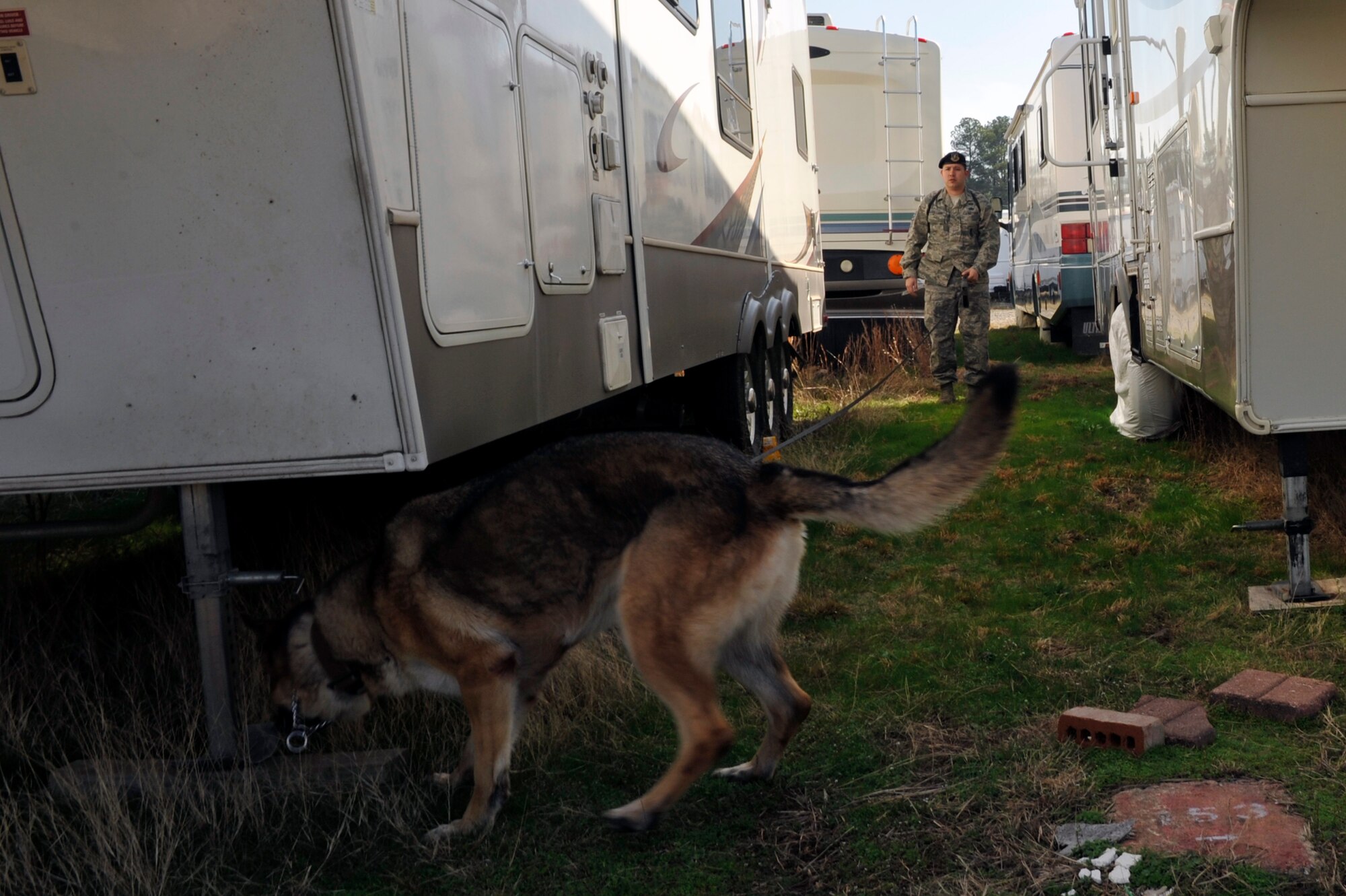 Staff Sgt. Guillermo Castellano, a 19th Security Forces Squadron dog handler, and his military working dog Charis, search for drugs during a training session, Feb. 27, 2012, at Little Rock Air Force Base, Ark. The 19th SFS dog handlers perform monthly training with military working dogs to keep them prepared to search for drugs and explosives. (U.S. Air Force photo by Airman 1st Class Rusty Frank)