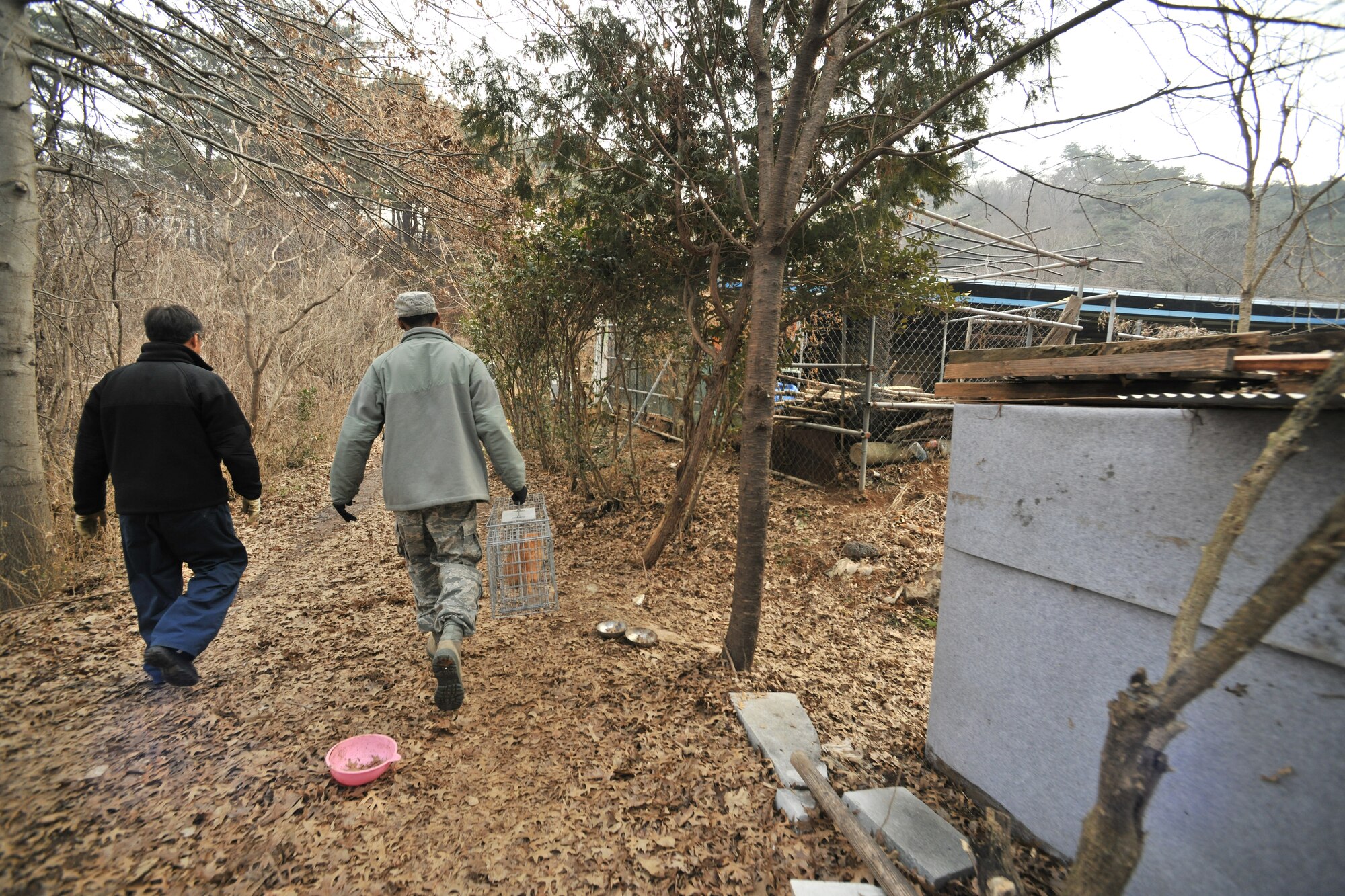 Staff Sgt. Semorian Ford, 8th Civil Engineer Squadron pest management NCO in charge and Kuk Nam Song, 8th CES pest management journeyman, take a stray cat into a local animal shelter in Gunsan City, Republic of Korea, Feb. 23, 2012. Members of the section have eight live traps scattered around base and they check the traps twice a day. (U.S. Air Force photo by Senior Airman Brittany Y. Auld/Released)