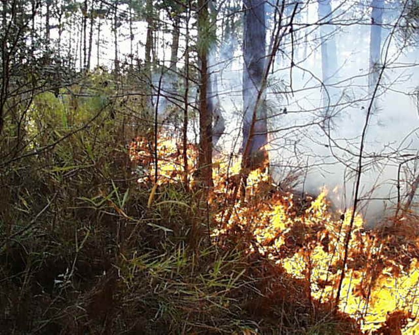 Prescribed fires, conducted by trained fire managers, accomplishes planned land management objectives. (courtesy photo)