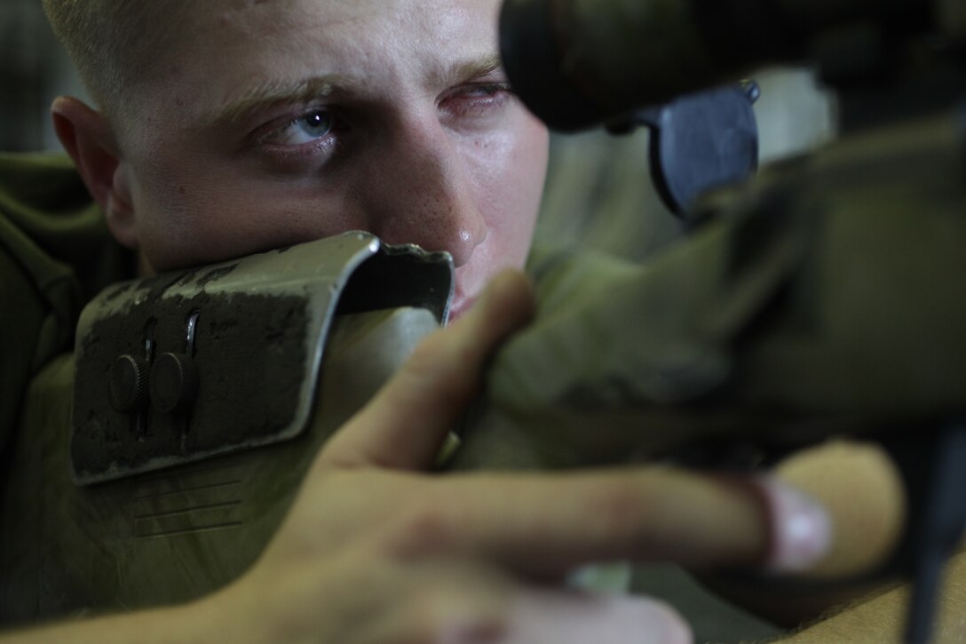 Lance Cpl. Cody Skellenger sights in aboard amphibious assault ship USS Makin Island (LHD 8) Jan. 3 during weapons drills.  Skellenger, 20, who hails from Chowchilla, Calif., serves with the 11th Marine Expeditionary Unit's Battalion Landing Team 3/1.  The 11th MEU is currently deployed as part of the Makin Island Amphibious Ready Group (MKIARG) as the U.S. Central Command theater reserve force, also providing support for maritime security operations and theater security cooperation efforts in the U.S. 5th Fleet area of responsibility.