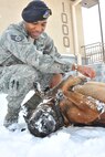 Staff Sgt. Mark Bush, 8th Security Forces Squadron military working dog handler, takes a break from validation training with Iian, 8th SFS military working dog, at Kunsan Air Base, Republic of Korea, Jan. 4, 2012. The Wolf Pack enjoyed their first snow day of the year. (U.S. Air Force photo by Senior Airman Brittany Y. Auld/Released)