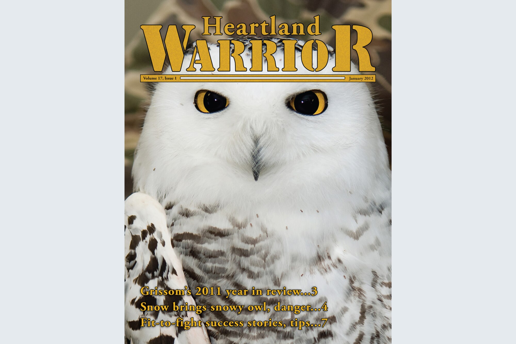 GRISSOM AIR RESERVE BASE, Ind. -- The Heartland Warrior is the official E-paper of the 434th Air Refueling Wing at Grissom ARB. The January issue contains 9 pages of news, photos and information. (U.S. Air Force graphic/Tech. Sgt. Mark R. W. Orders-Woempner)
